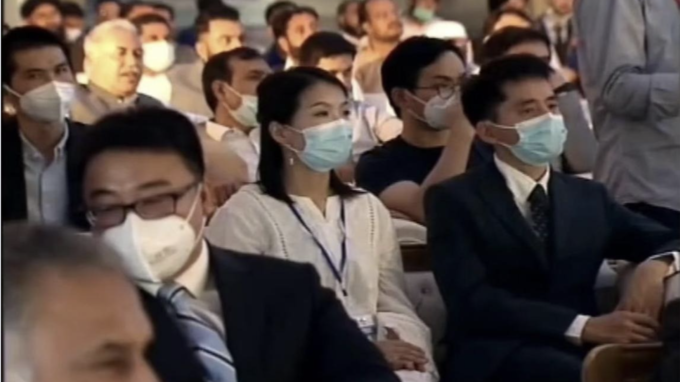 screenshot 2025 07 28 at 8.19.00 am cropped